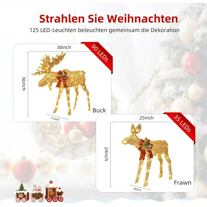 Lighted Christmas Set Decoration Family, 2-Piece Light up Christmas Decor Reindeer Set for Indoor Outdoor with LED Lights, Extension Cord, Plug, Ground Stakes