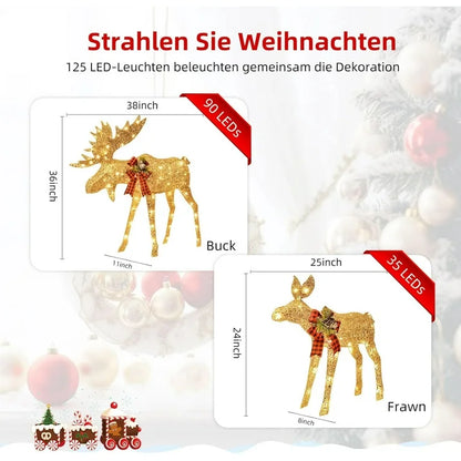 Lighted Christmas Set Decoration Family, 2-Piece Light up Christmas Decor Reindeer Set for Indoor Outdoor with LED Lights, Extension Cord, Plug, Ground Stakes